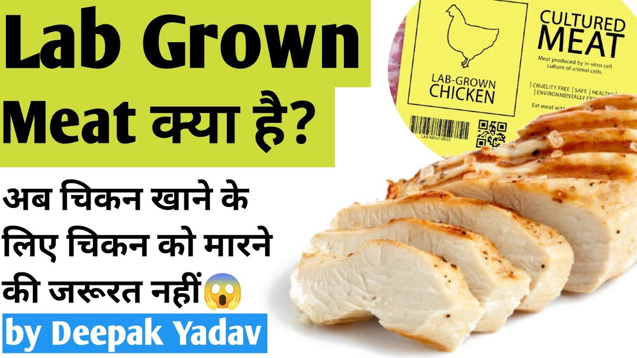 Lab Grown Meat | Cultured Meat | Cultivated Meat | Cell Based Meat | by Deepak Yadav