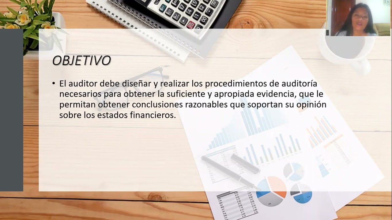 AUDITORIA FINANCIERA NIA 500
