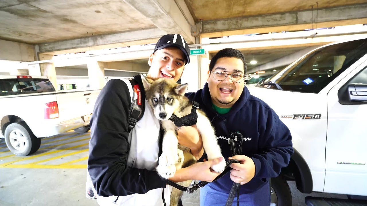 LEVEI MEU CACHORRO PRA CONHECER O JON NO AEROPORTO! ‹ Rabicó ›
