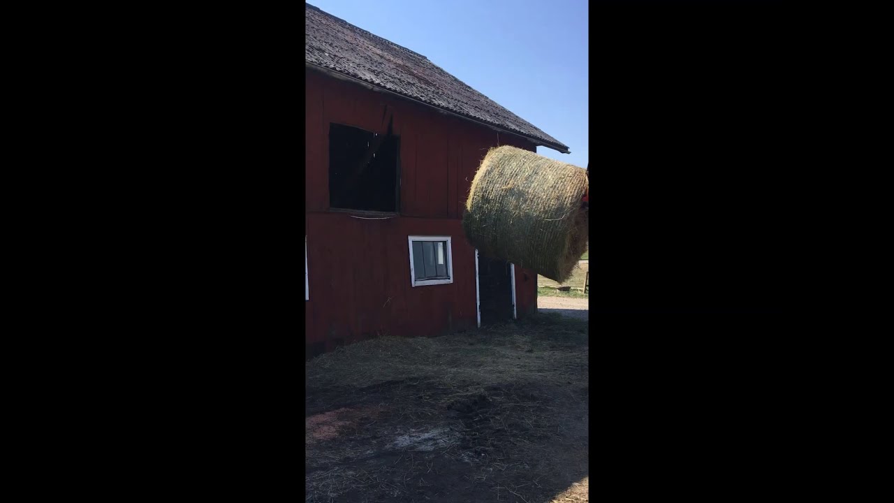 SE Equipment - Balspjut, 2 spjut