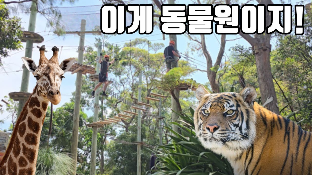 숲속에 거대한 동물원을 통째로 넣어버린 호주의 동물원 클라스