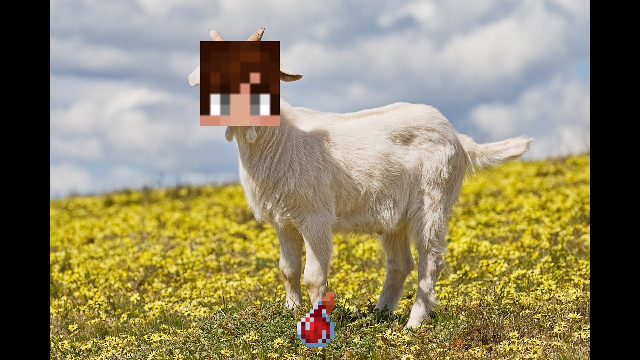 THE GOAT | Potpvp Montage