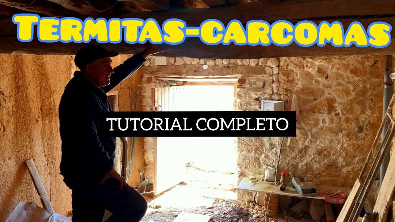 Como saber si tenemos termitas o carcoma en nuestra madera y soluciones .tutorial completo
