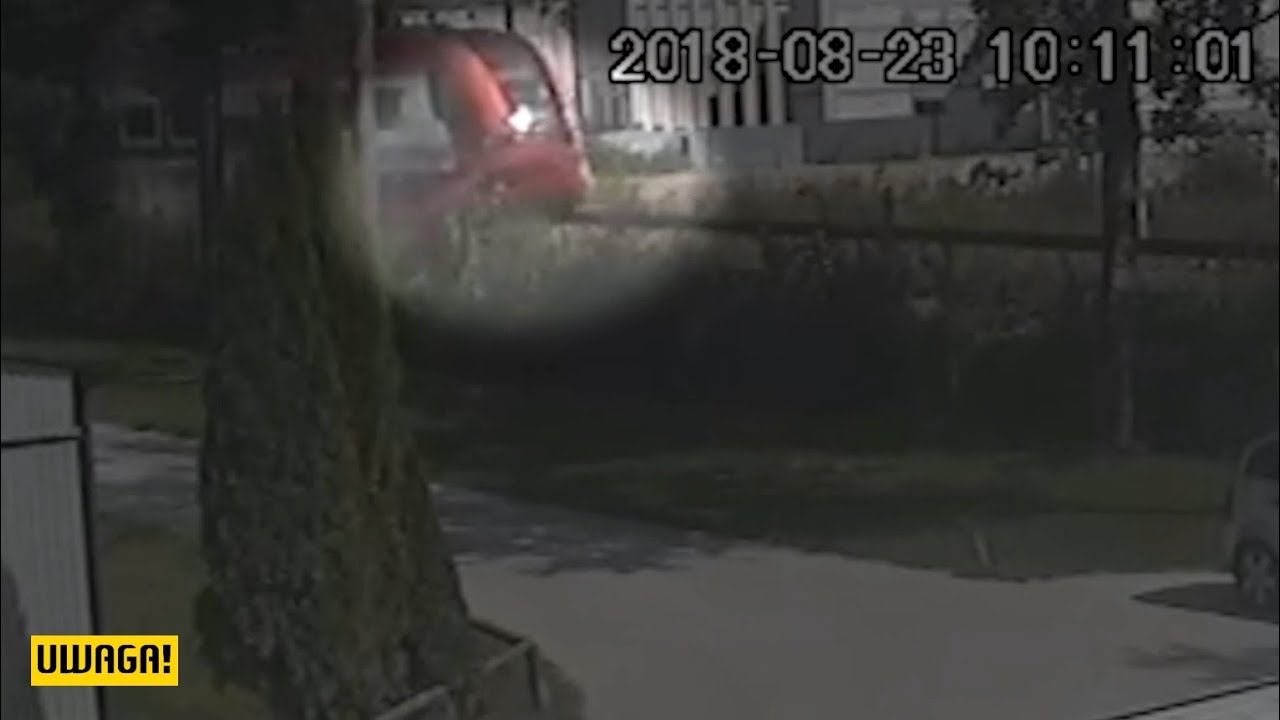 Zginęła podczas egzaminu na prawo jazdy (UWAGA! TVN)
