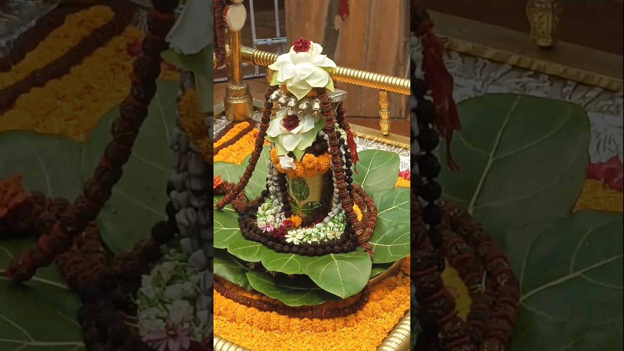 😍❤🔱 #paharimandirranchi #ranchi_jharkhand #dailyuploads #mahadevblessings #likesharesubscribe