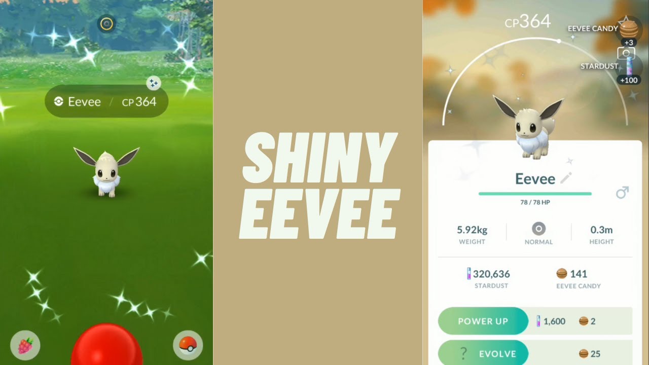 Pokemon Go Not another Shiny Eevee