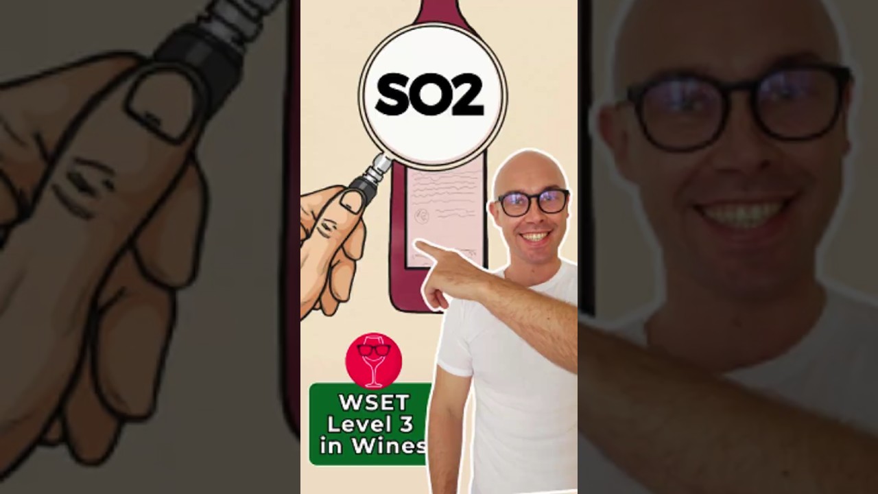SO2 Sulfur Dioxide in Winemaking I WSET Level 3 in Wines