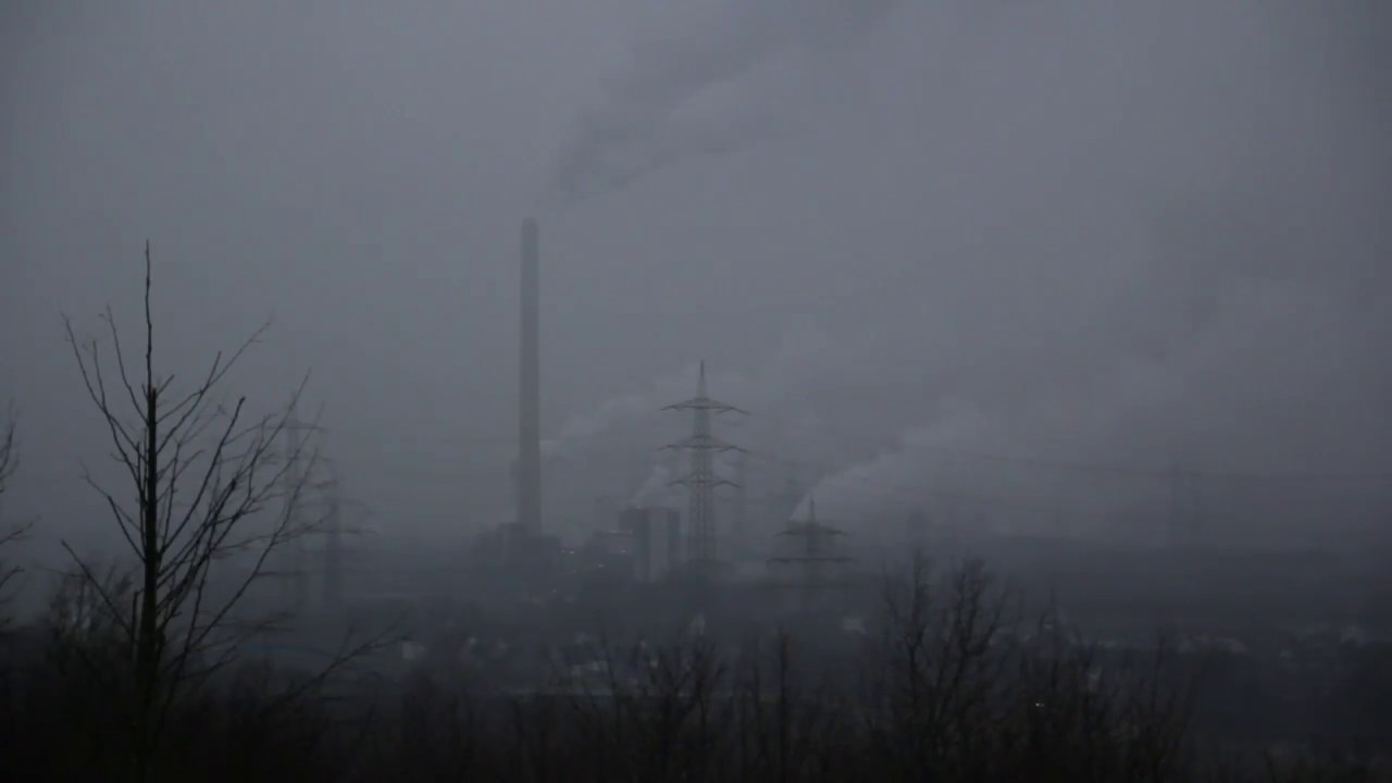 International Music - F&uuml;r Alles