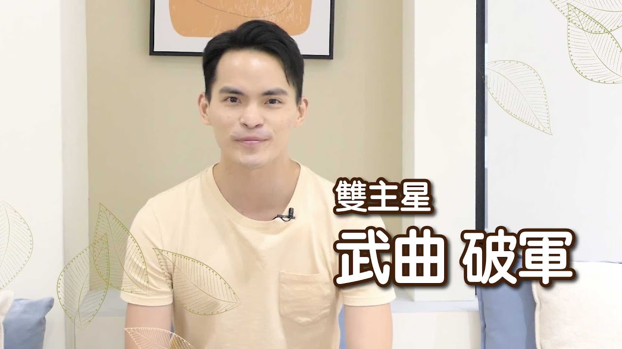 雙主星｜武曲破軍｜有點小叛逆和自我主義的組合
