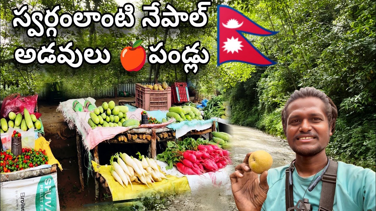 స్వర్గంలాంటి🇳🇵నేపాల్ 🌿 | 🌲అడవులు, 🥬కూరగాయలు, 🍎పండ్లు | Relaxing Video Telugu