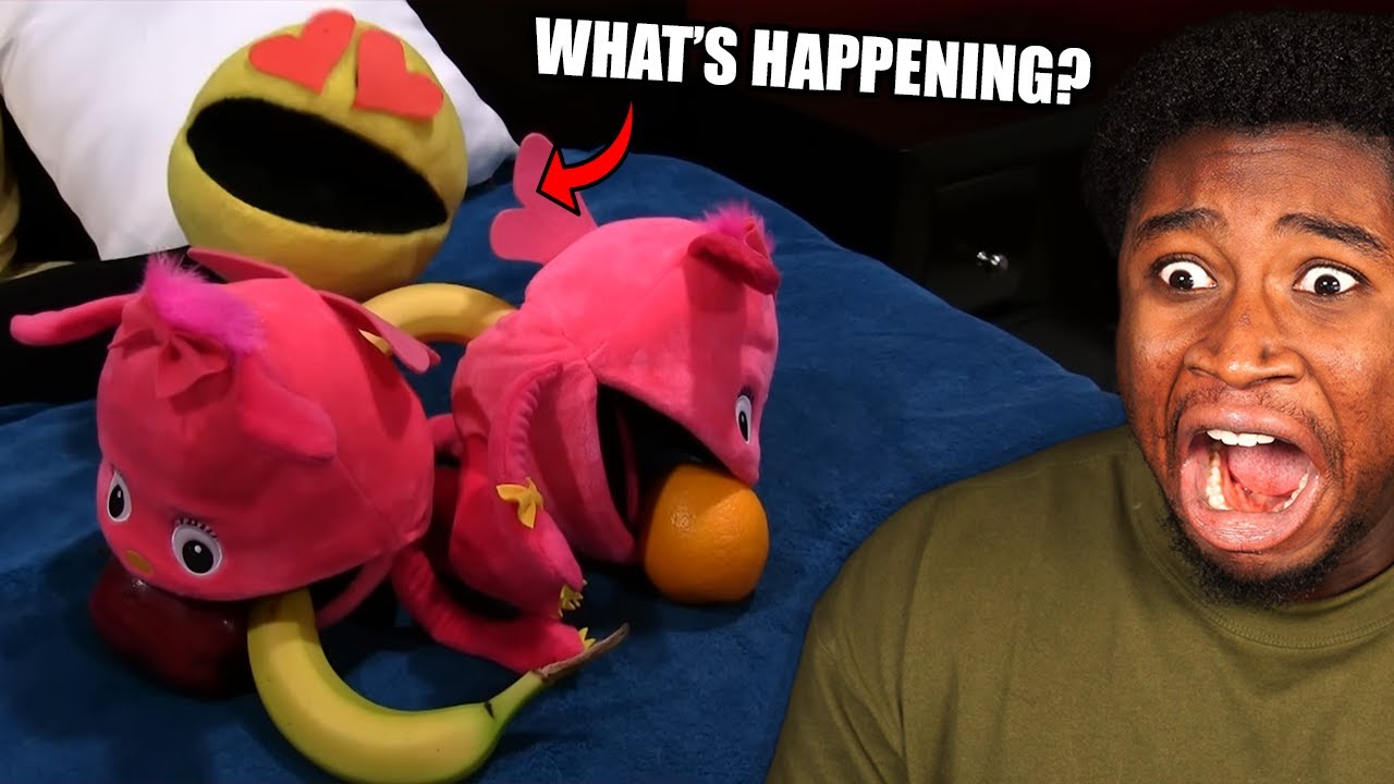PAC-MAN THE BACHELOR! | SML Pac-Man's Divorce!