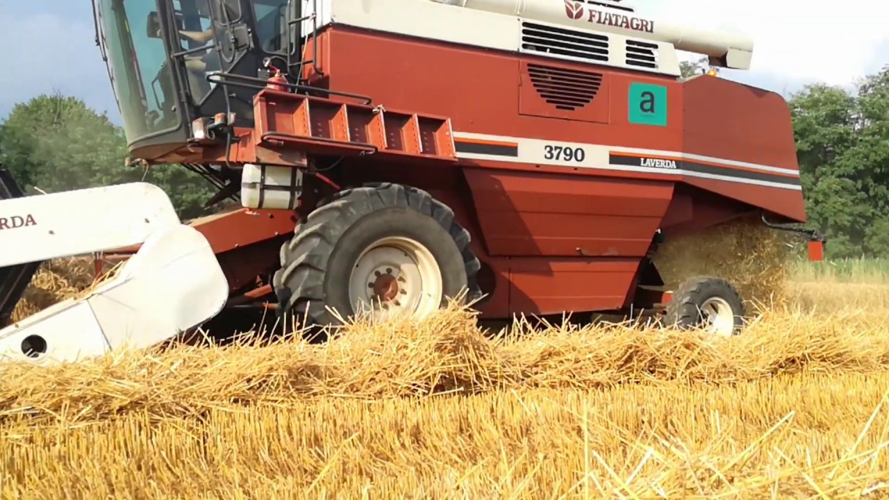 Wheat cutting 2k19 | Laverda 3790 + lama