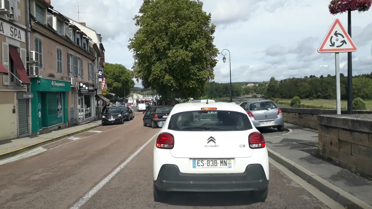 Ionel Nistor Vlog  #IonelNistorBlog #ApisInes #IonelNistor