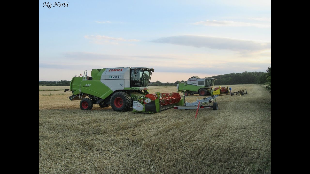 Pinkamenti Agrár Kft. 2016 