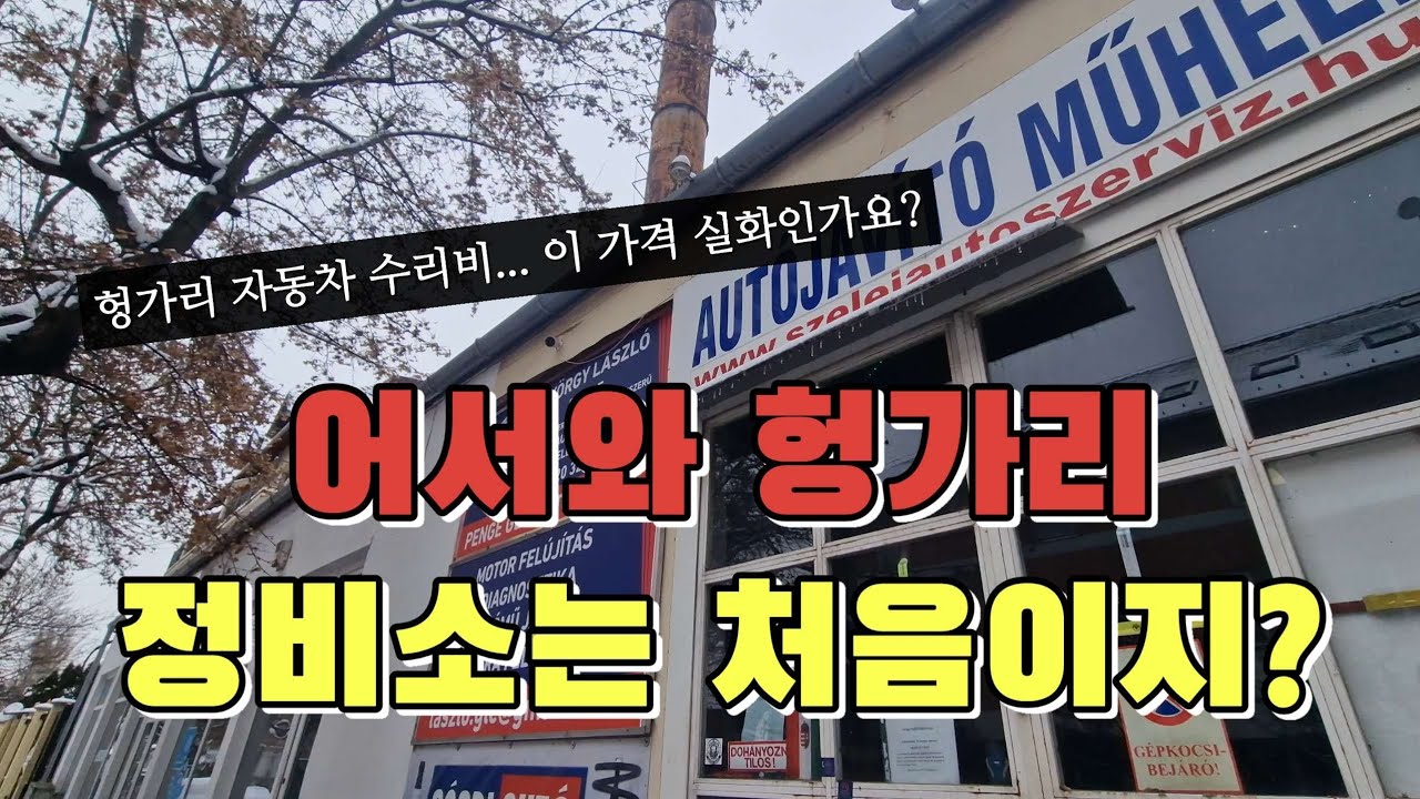 눈이 많이 내리는 1월의 헝가리❄️ 유치원 등원부터 자동차 수리, 이사 전  공증까지... | 돈만 오지게 나가는 헝가리 생활😔