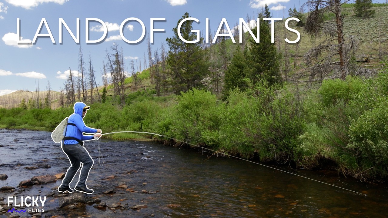 The Orvis Superfine 4 Wt. Can Handle Serious Sized Trout (You'd be Surprised...)