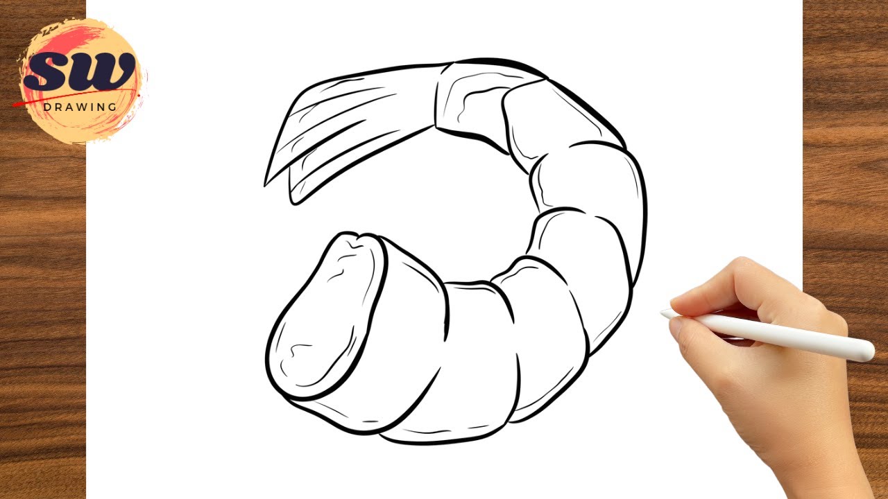 How to Draw Shrimp - Seafood Drawing