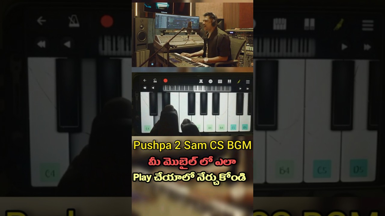 Pushpa 2 Sam CS BGM | 