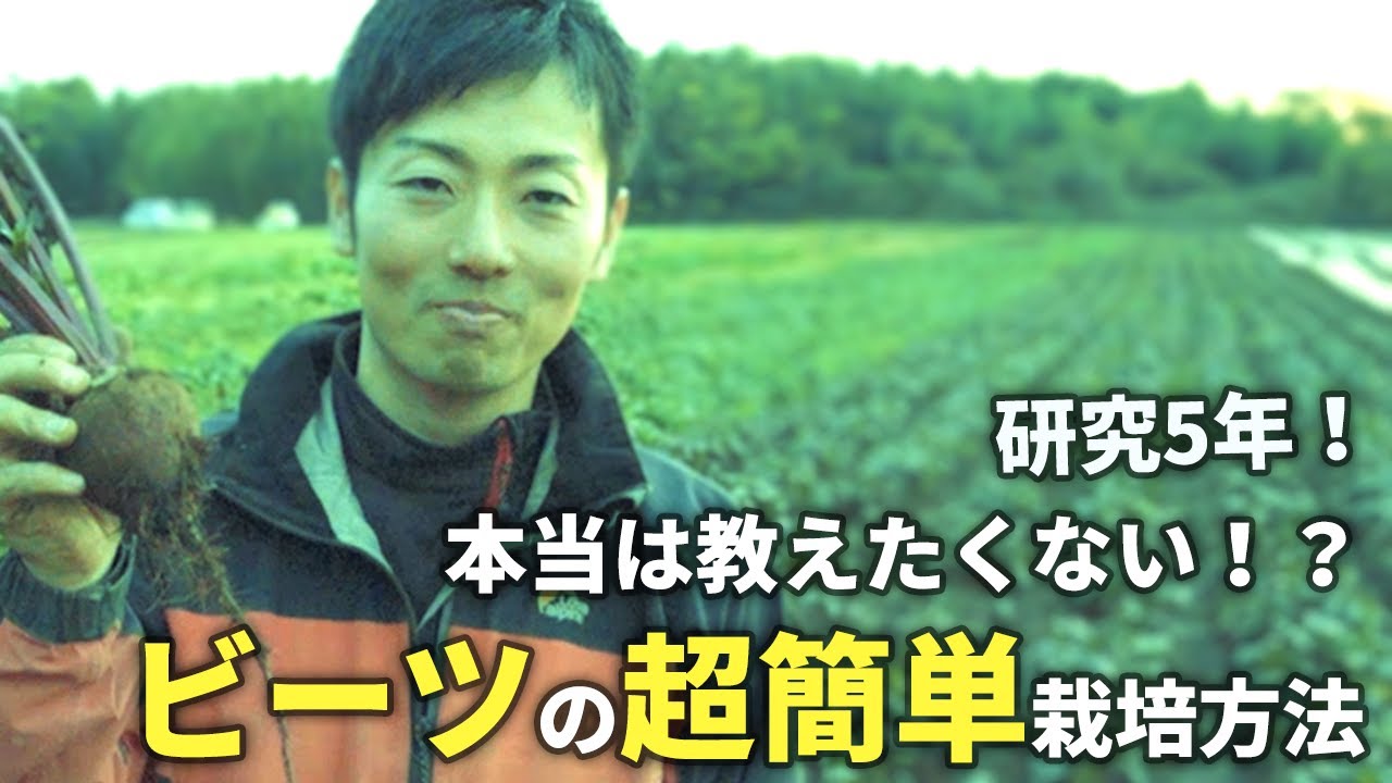 ビーツの効率的な栽培方法 | 柴海祐也 俺の農業（最終回）