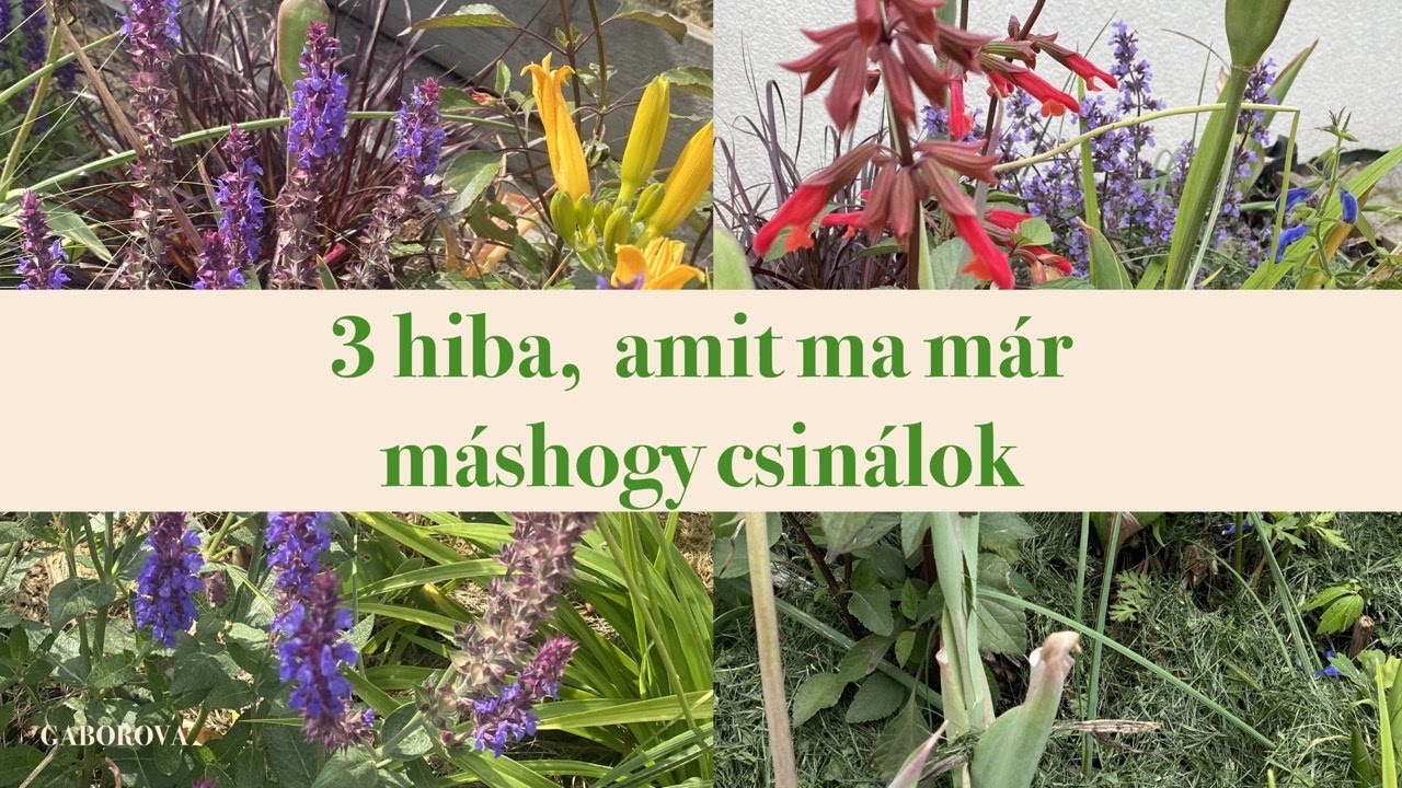 3 dolog, amit ma már máshogy csinálnék a kerttervezésben