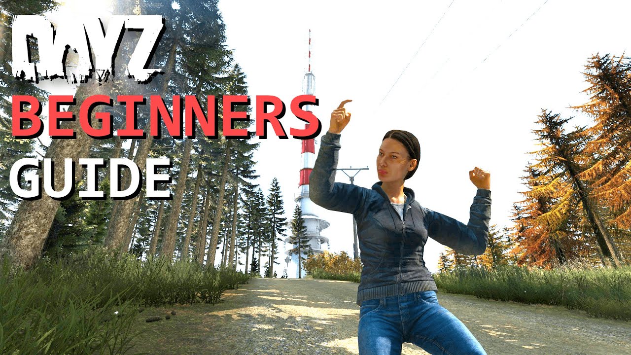 A Beginners Guide to DayZ (PC, PS4, Xbox)
