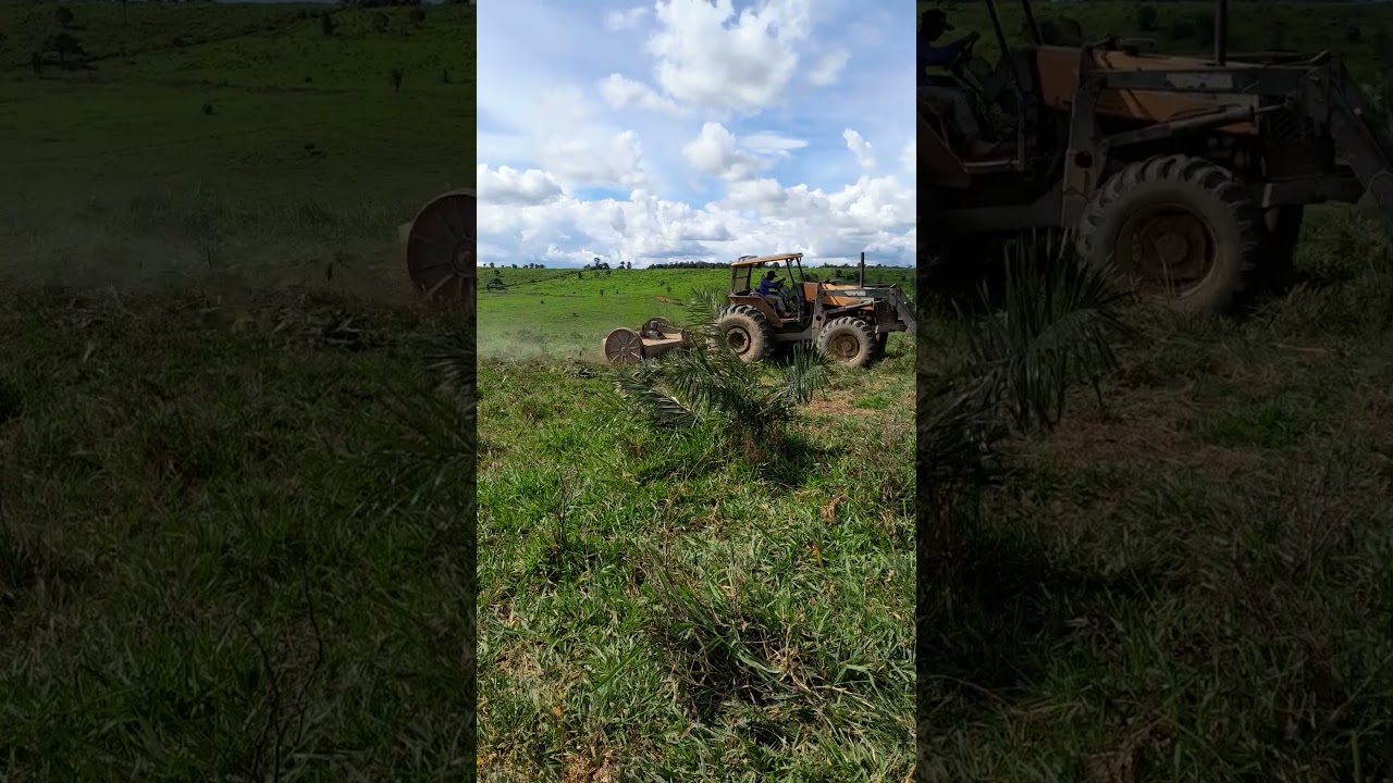 valtrao no roso