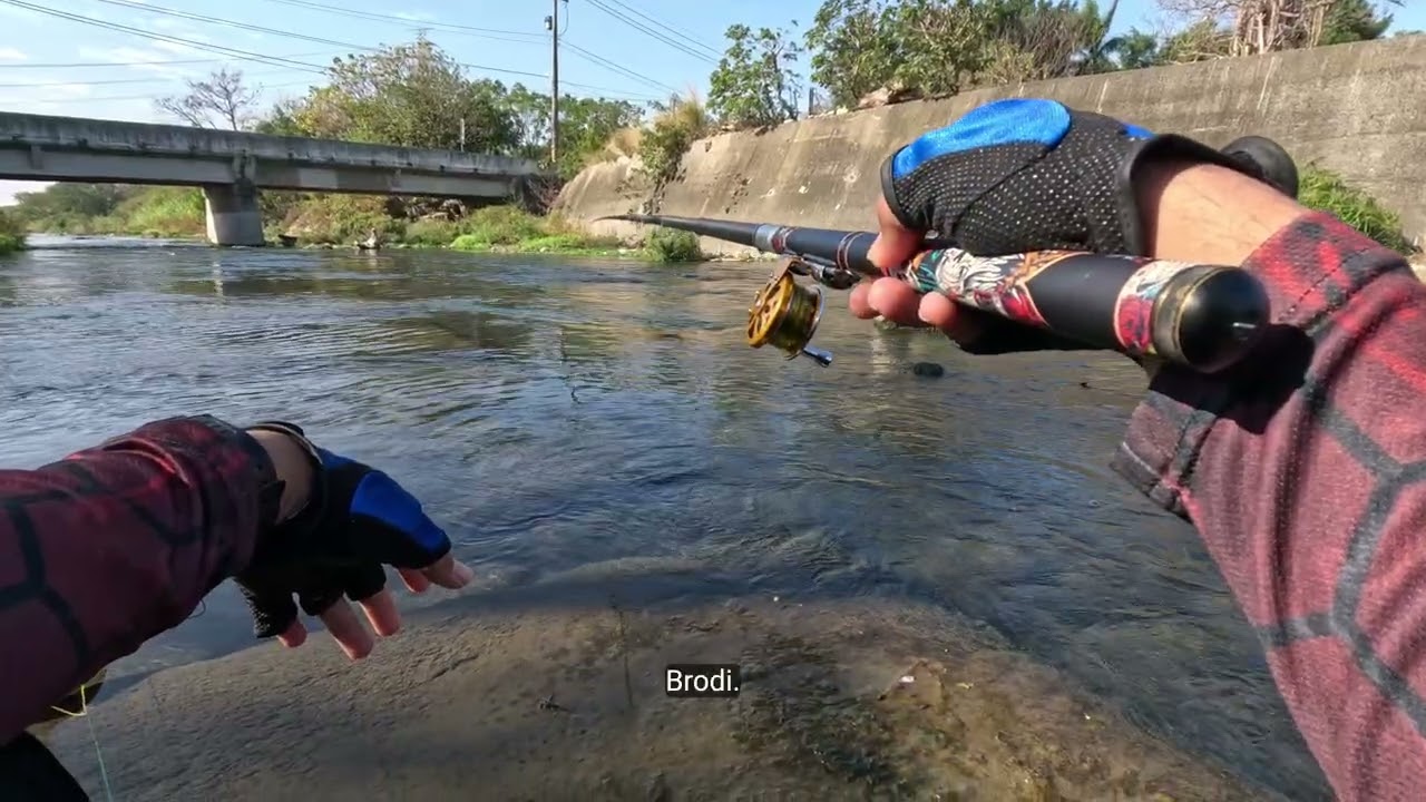 UMPAN PELET ROTI!!! target ikan Mas sama mbak nila semoga gacor