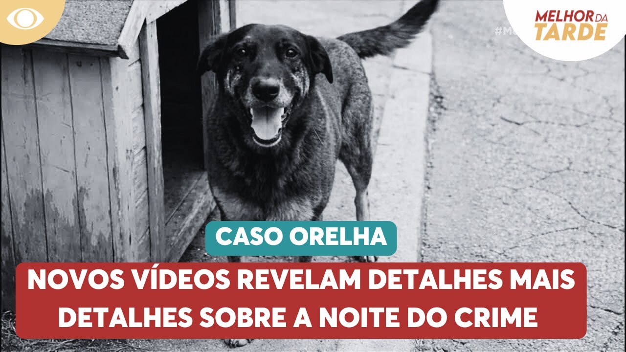 Caso Orelha: Novos vídeos revelam detalhes da noite do crime | Melhor da Tarde