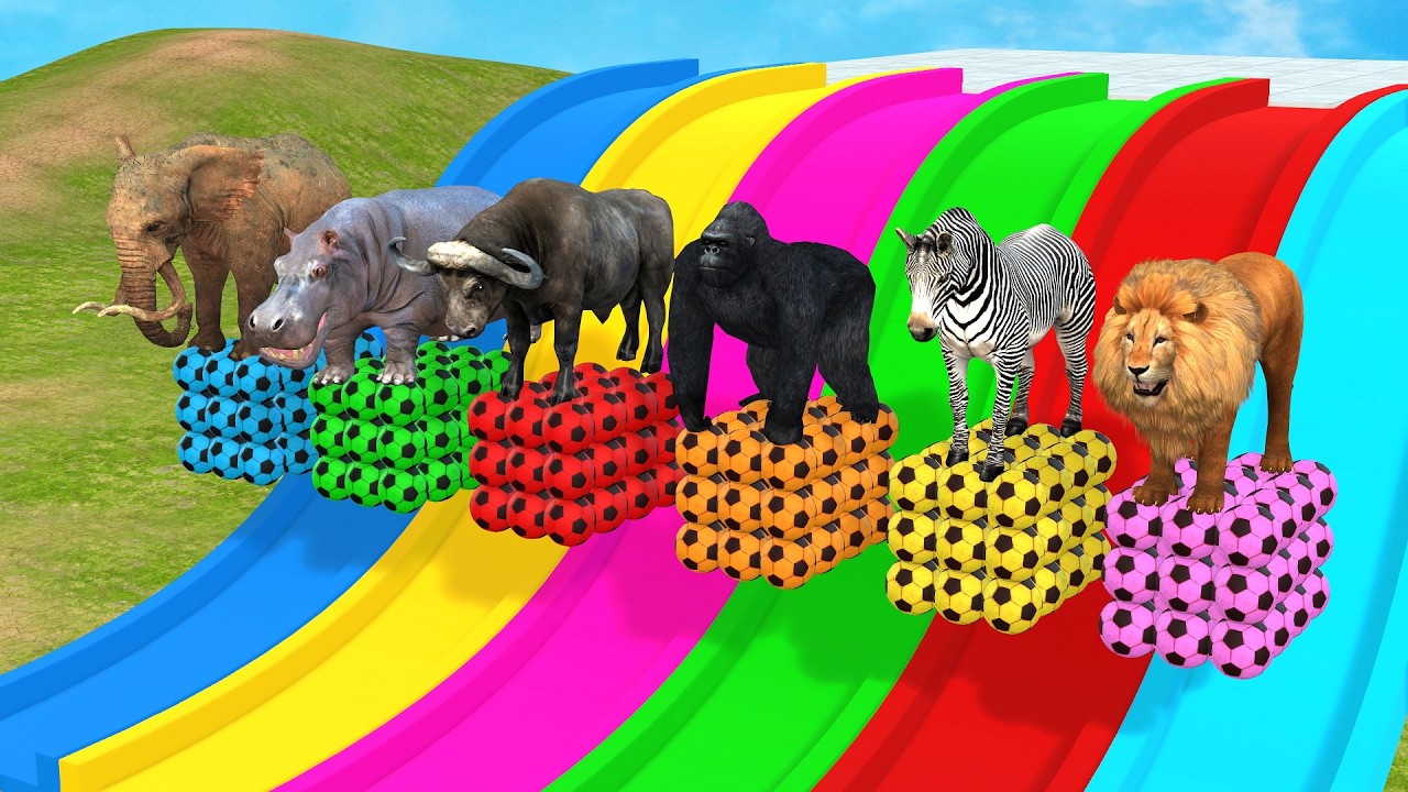 Long Slide Game With Cow Elephant Gorilla Hippopotamus Tiger 3d Animal Game Funny 3d Animals