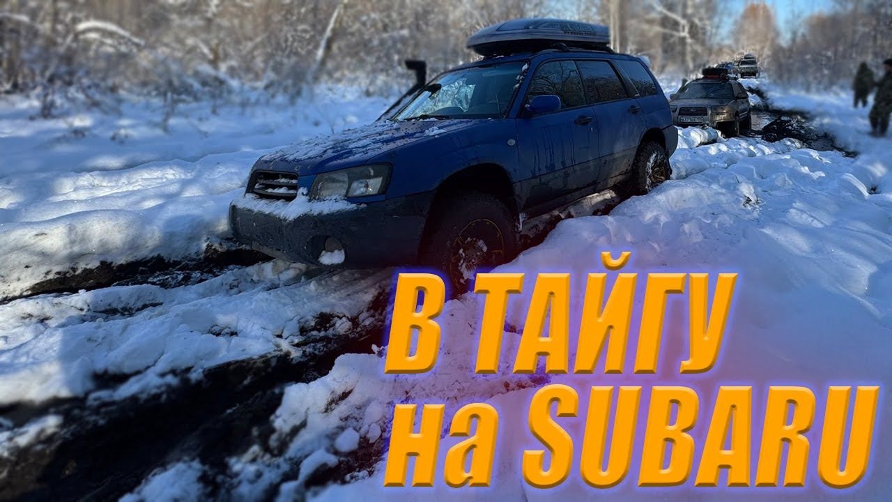 В ТАЙГУ на subaru forester