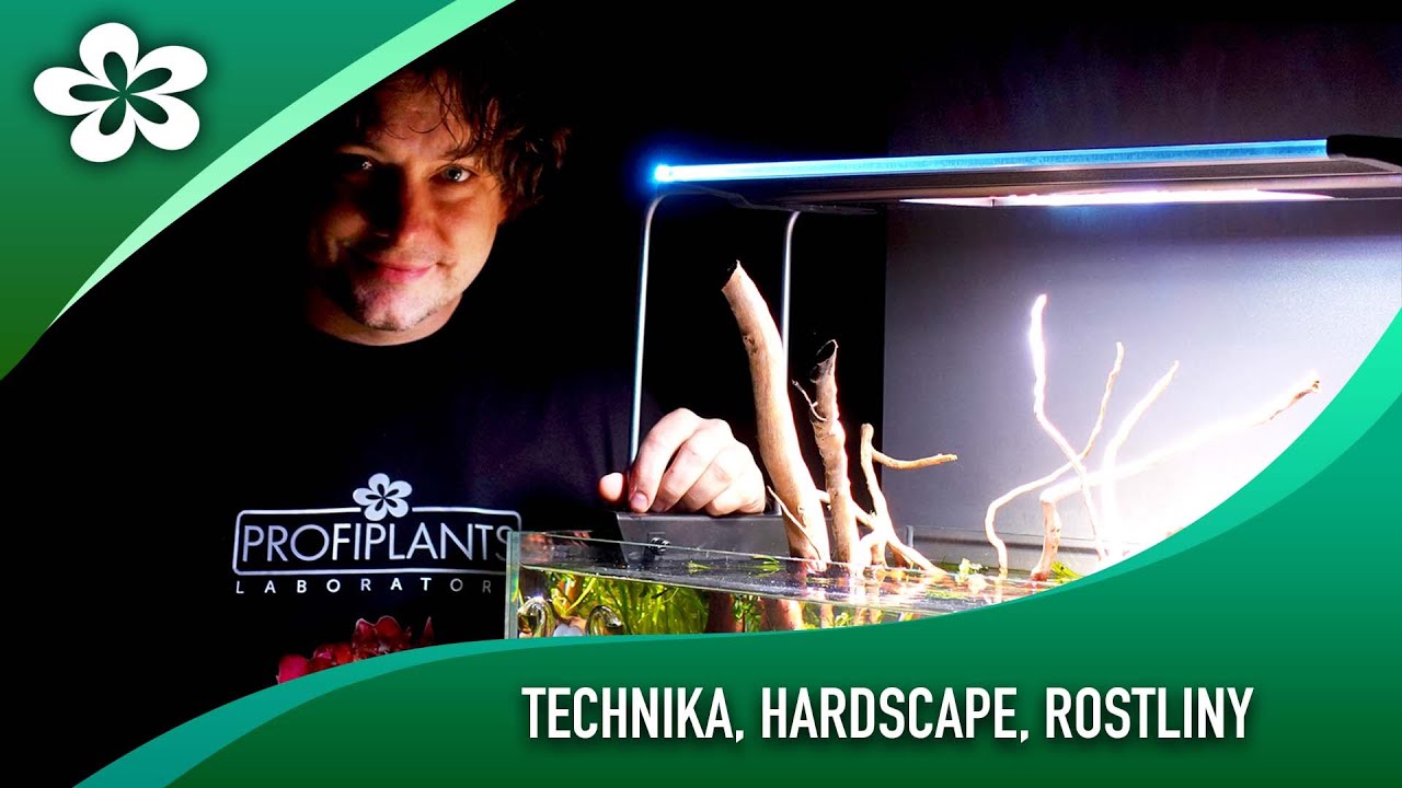 Zakládání akvária s prvotřídní technikou