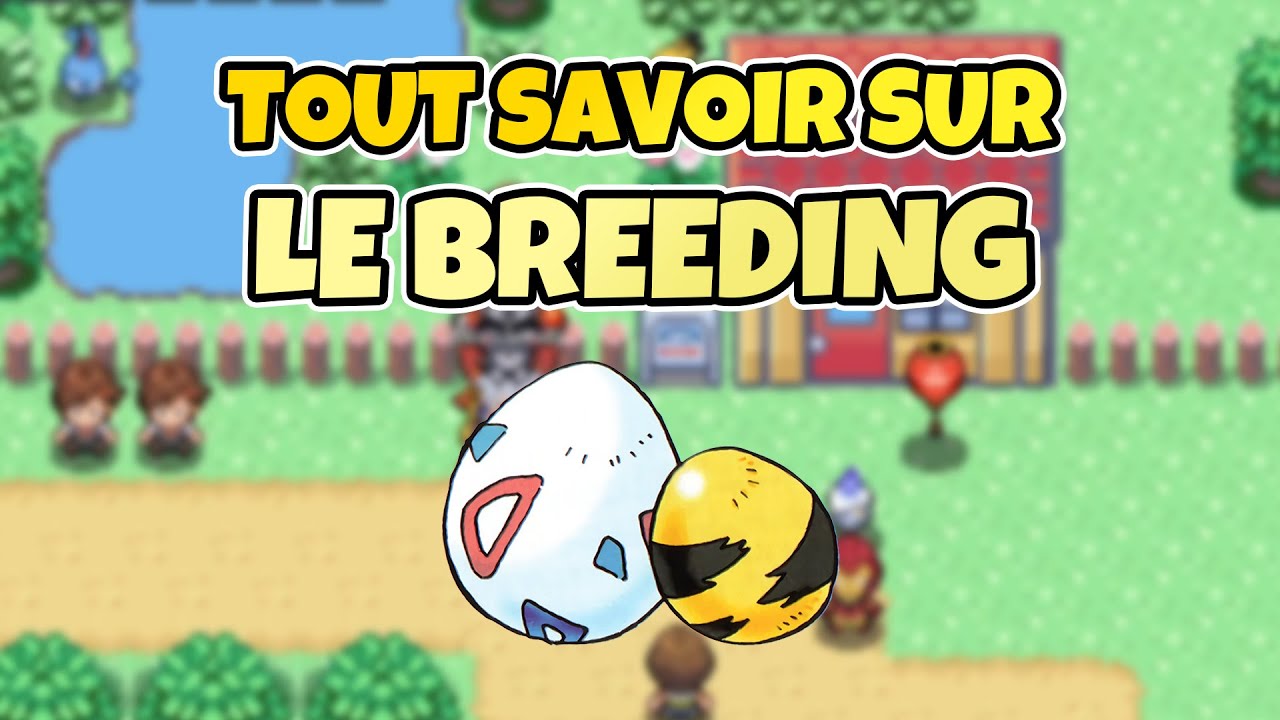 TOUT savoir sur le BREEDING dans Pok&eacute;MMO : cr&eacute;er un Pok&eacute;mon parfait