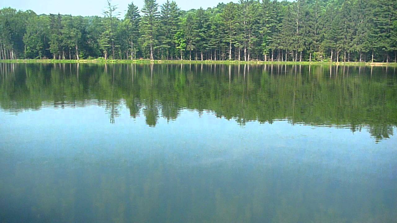 Sonar AS Application to Eurasian Watermilfoil Phase 1 in Western Pennsylvania (PA)