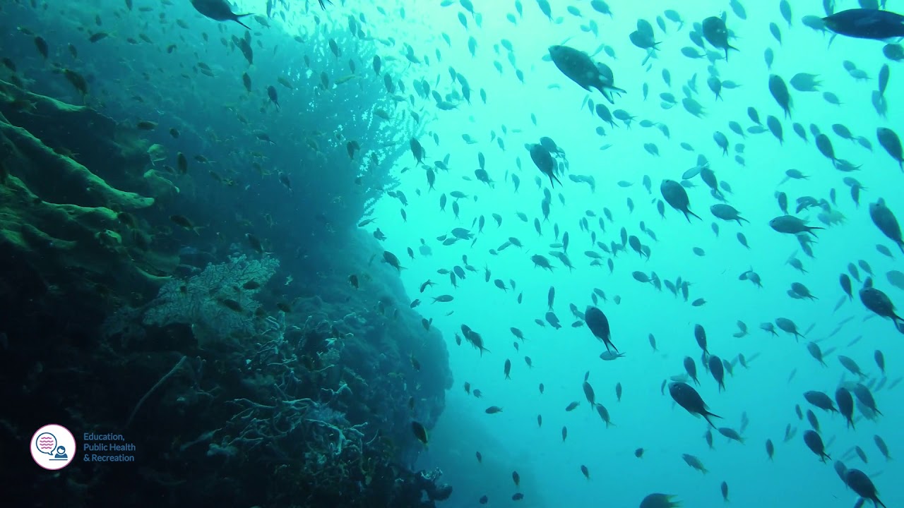 Monitoring ocean heat content