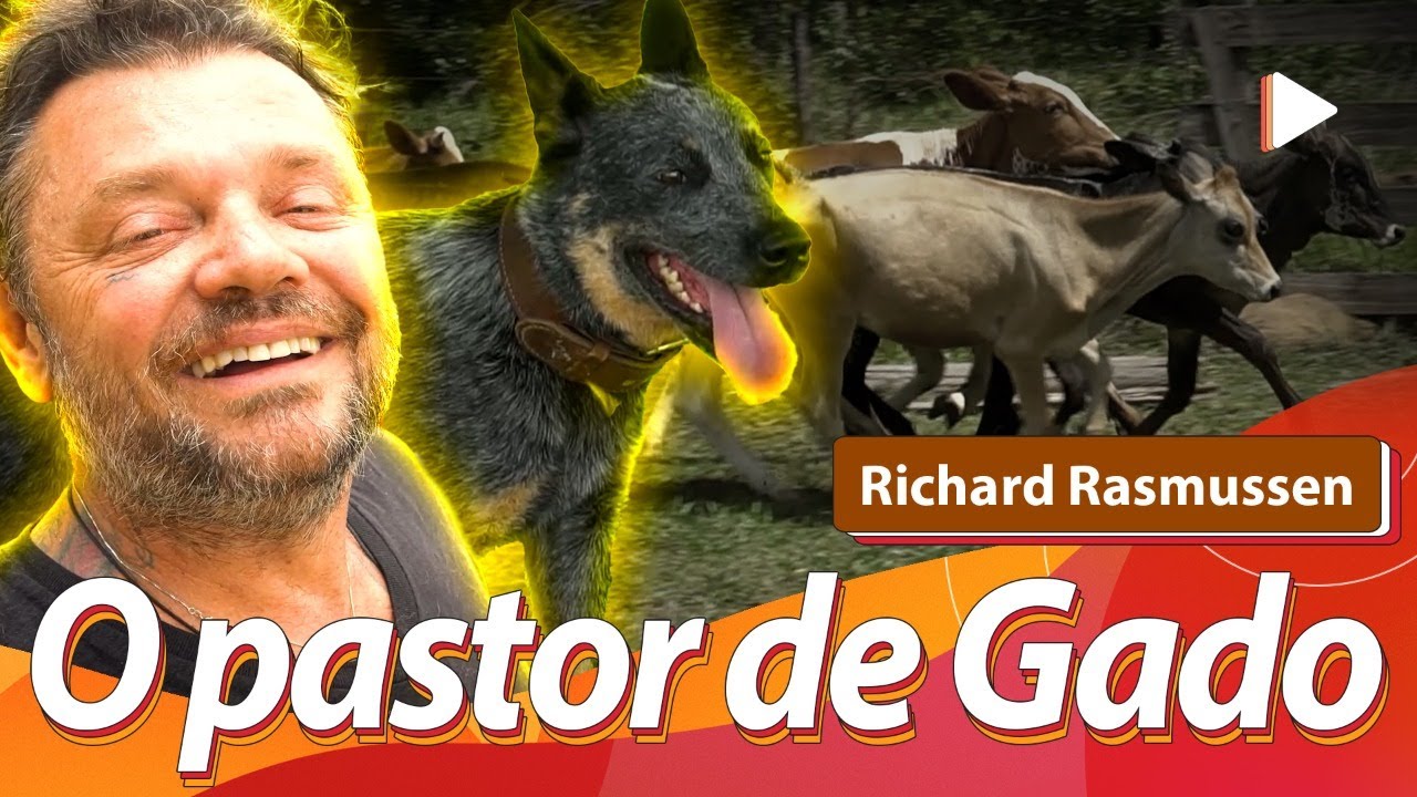 BLUE HEELER, O PASTOR DE GADO COM @RichardRasmussenSelvagem  | BAW WAW