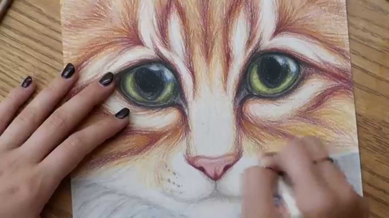 Kitty Cat with Big Eyes Colored Pencil Drawing - Full Version