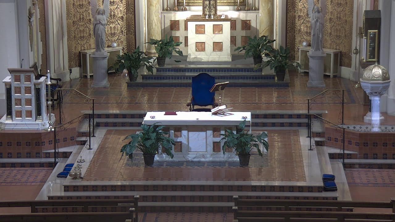 8 AM Mass — Sunday, February 1, 2026