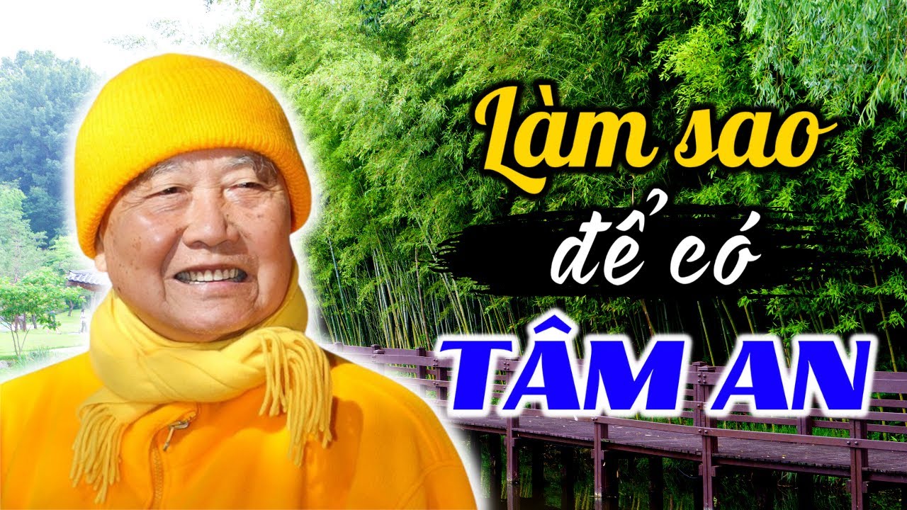 Làm sao để có TÂM AN? (giảng tranh chăn trâu) | Hòa Thượng THÍCH THANH TỪ [PPUD]
