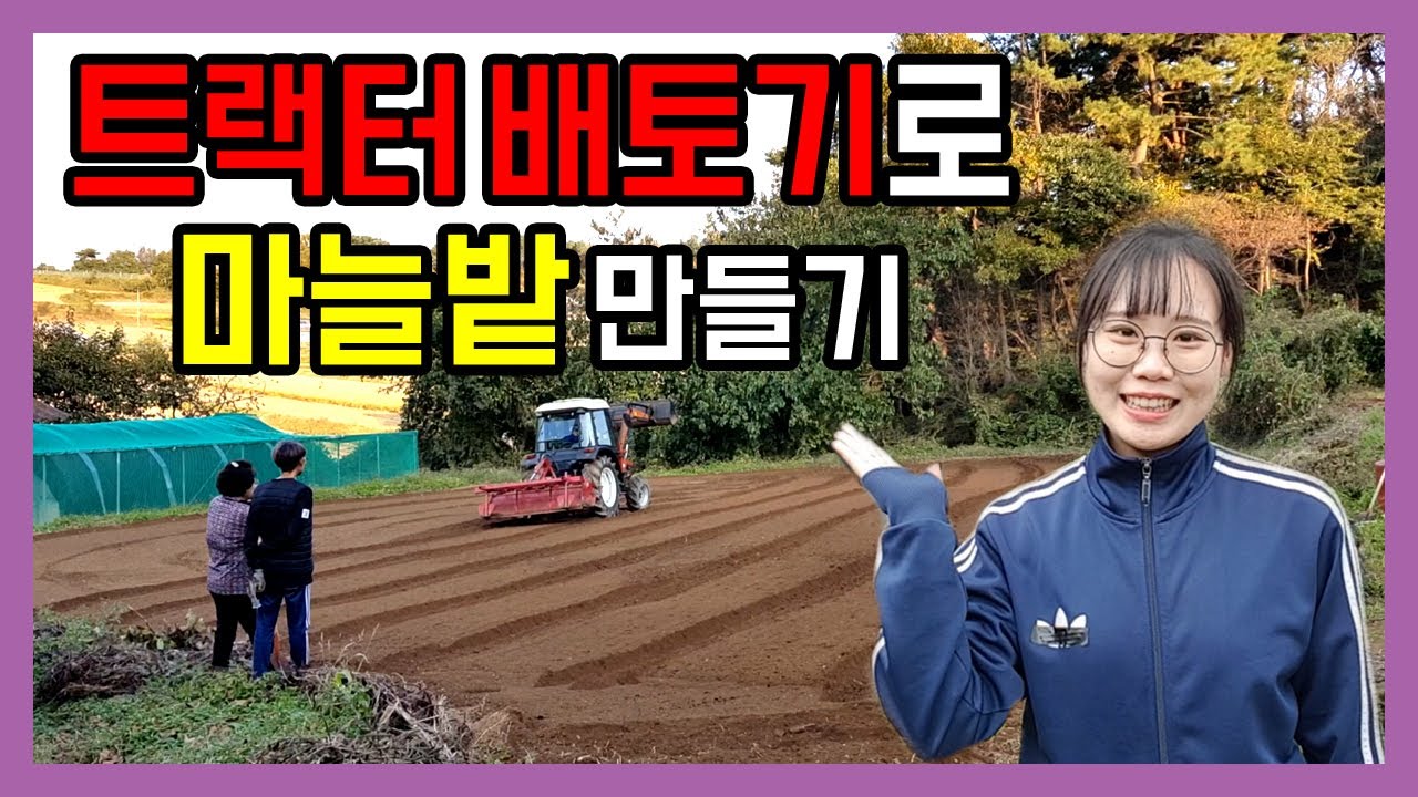 맞춤제작한 트랙터 배토기로 6쪽마늘과 양파 심을 밭 만들기