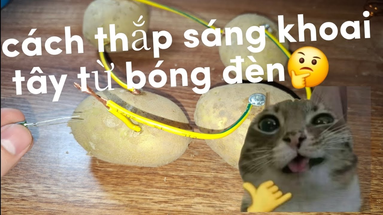 Cách tạo nguồn điện từ đèn khoai tây / How to generate electricity from a potato.