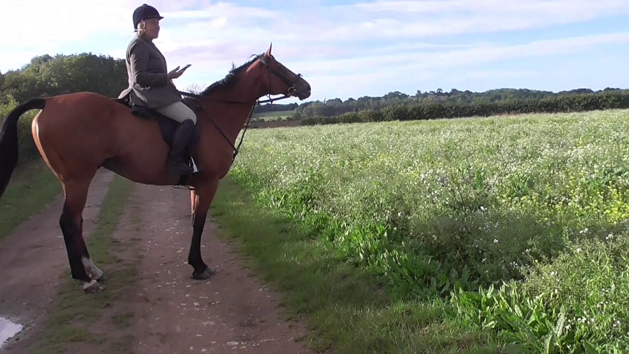 Old Berkshire Hunt 26th August 2020