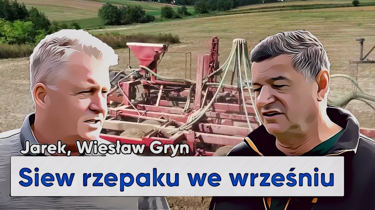 Agregat uprawowo-siewny własnej konstrukcji. Siewy rzepaku we wrześniu u Wiesława Gryna | e-pole 115