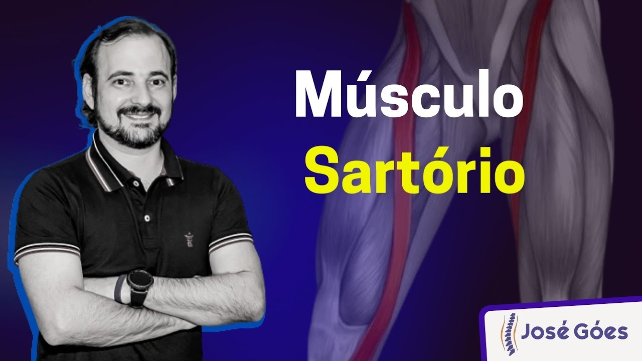Músculo Sartório | José Góes