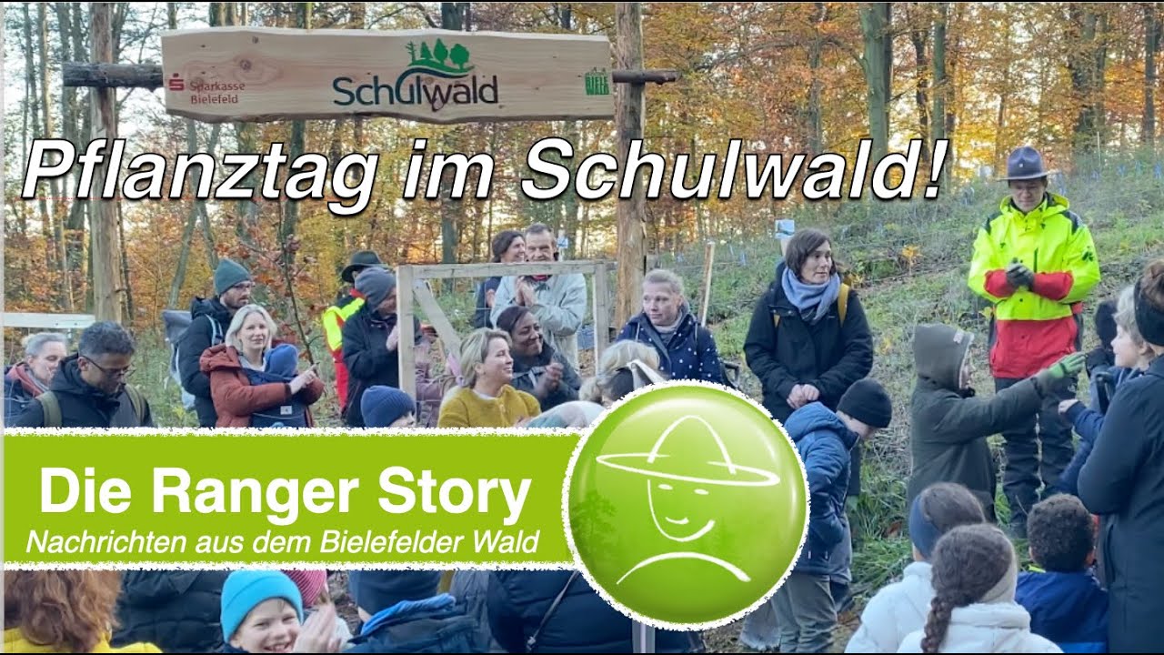 Pflanztag im Schulwald