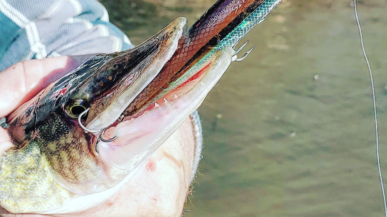 Gardys Mill Pond Virgina  COLD Front Winter Bass Fishing 