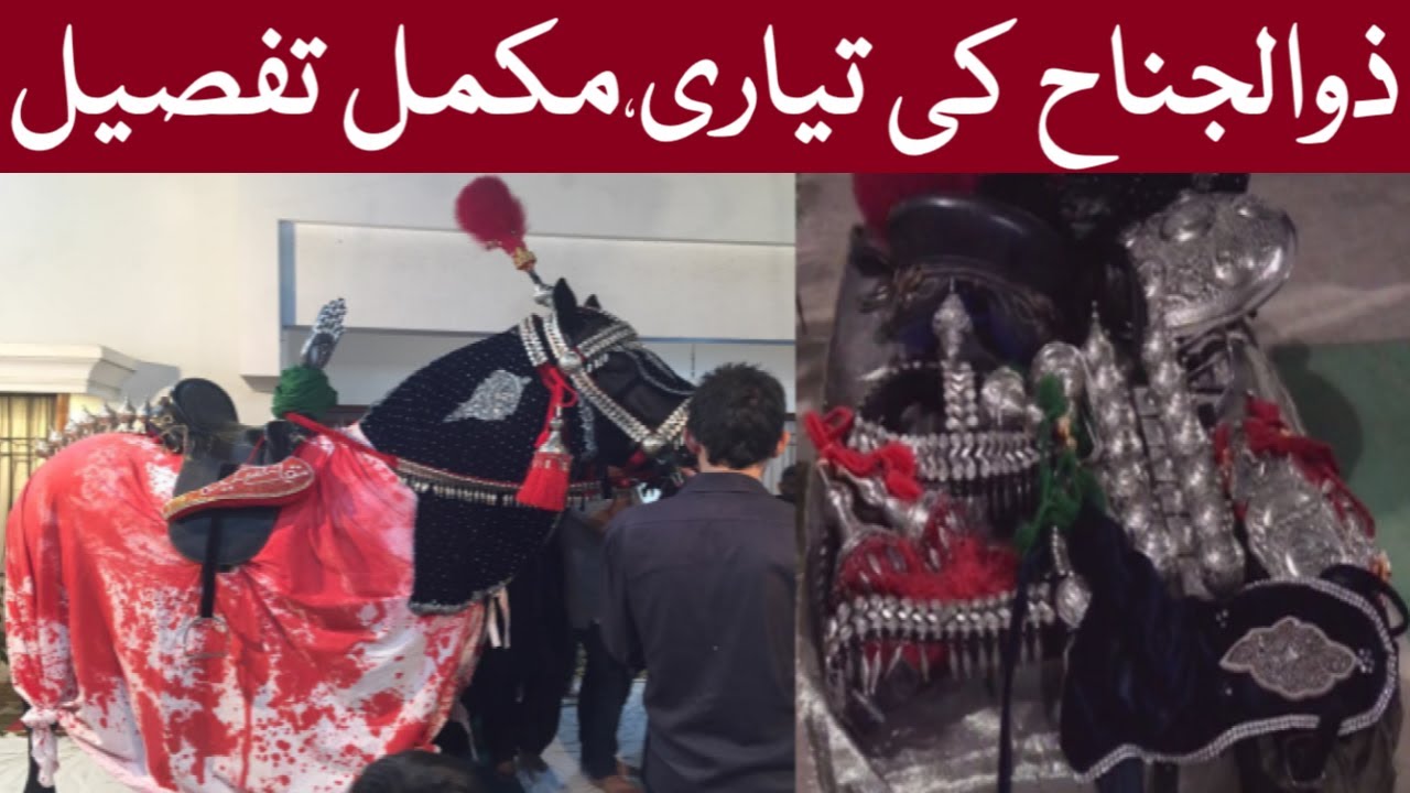 Zuljinah Preparation | Sarkar E Zuljanah Kaisay Teyar Kia Jata Hay Mukamal Maloomat | DulDul Badshah