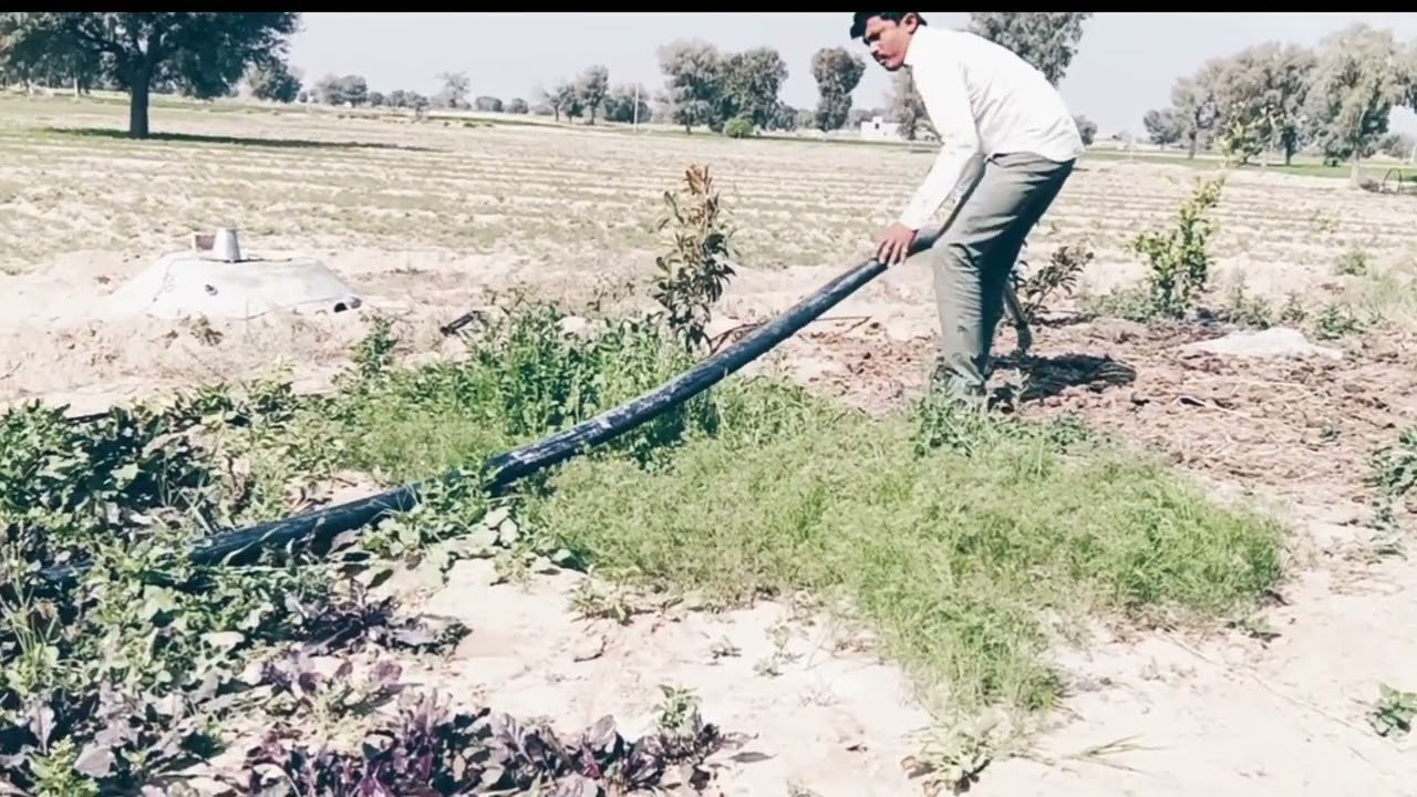 Mene aaj bahut kam kiya || 🌿सारा दिन काम किया 🏞️🪴