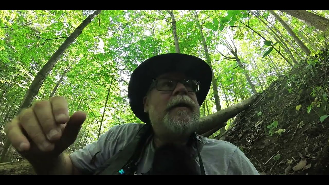 Habituation Site - UCS Episode 66