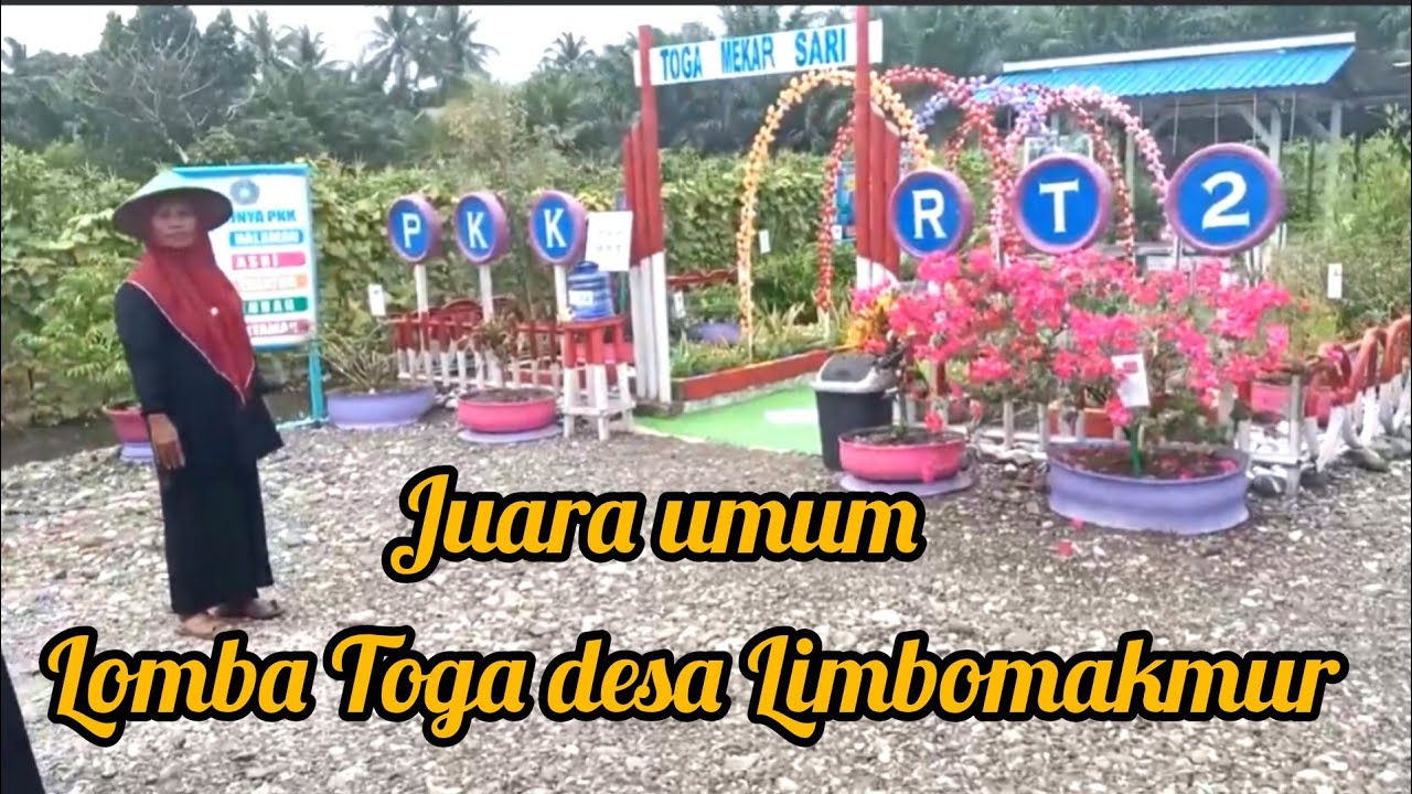 Juara 1 Umum Lomba Toga Desa Limbomakmur Kec.Bumiraya