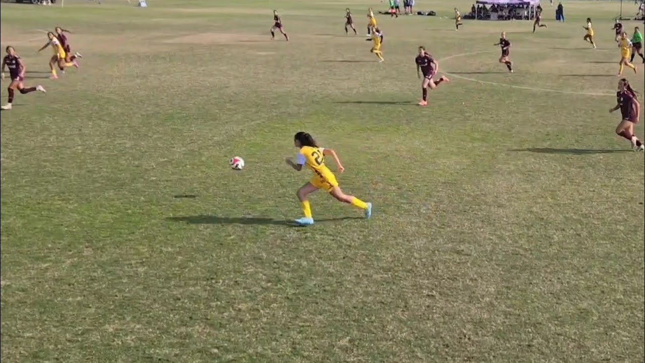Silverlakes Showcase Highlights November 2025